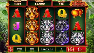chinese tigers (1)