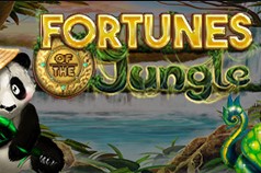 Fortunes of the Jungle