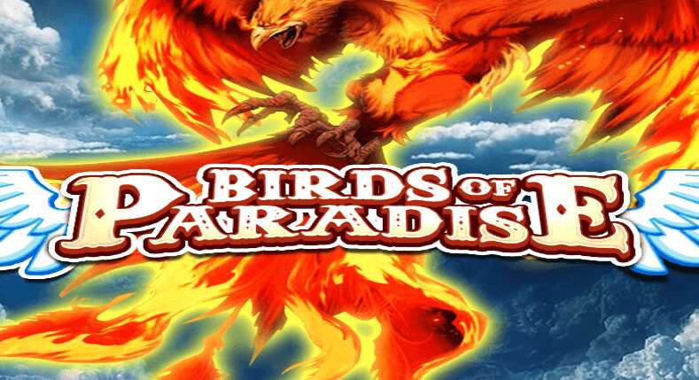 Birds of Paradise (Vela Gaming)