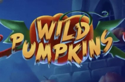 Wild Pumpkins