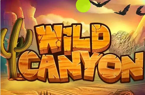 Wild Canyon